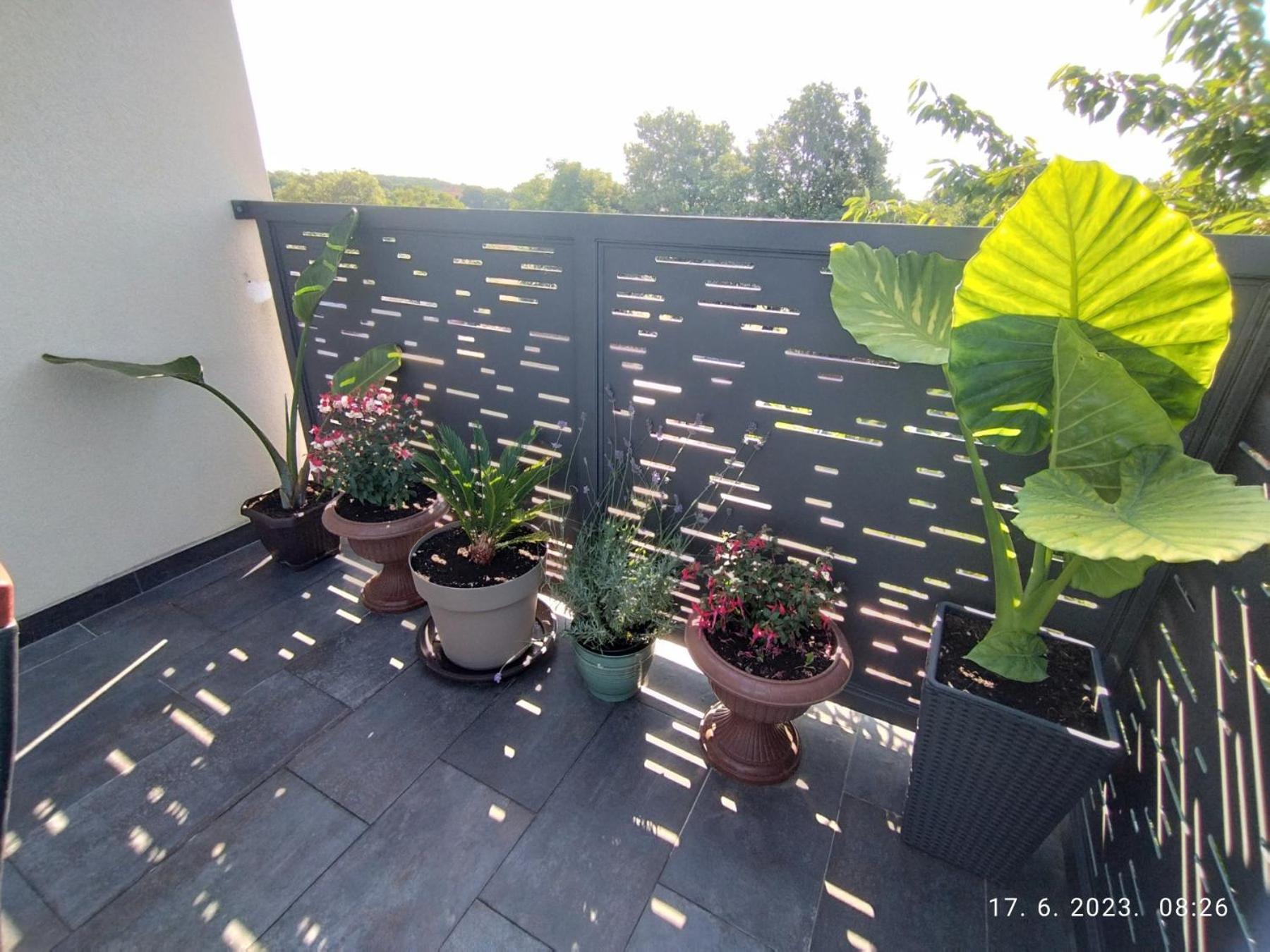 Apartment Zelena Oaza Sisan 75 M2 - 2 Bedrooms Esterno foto