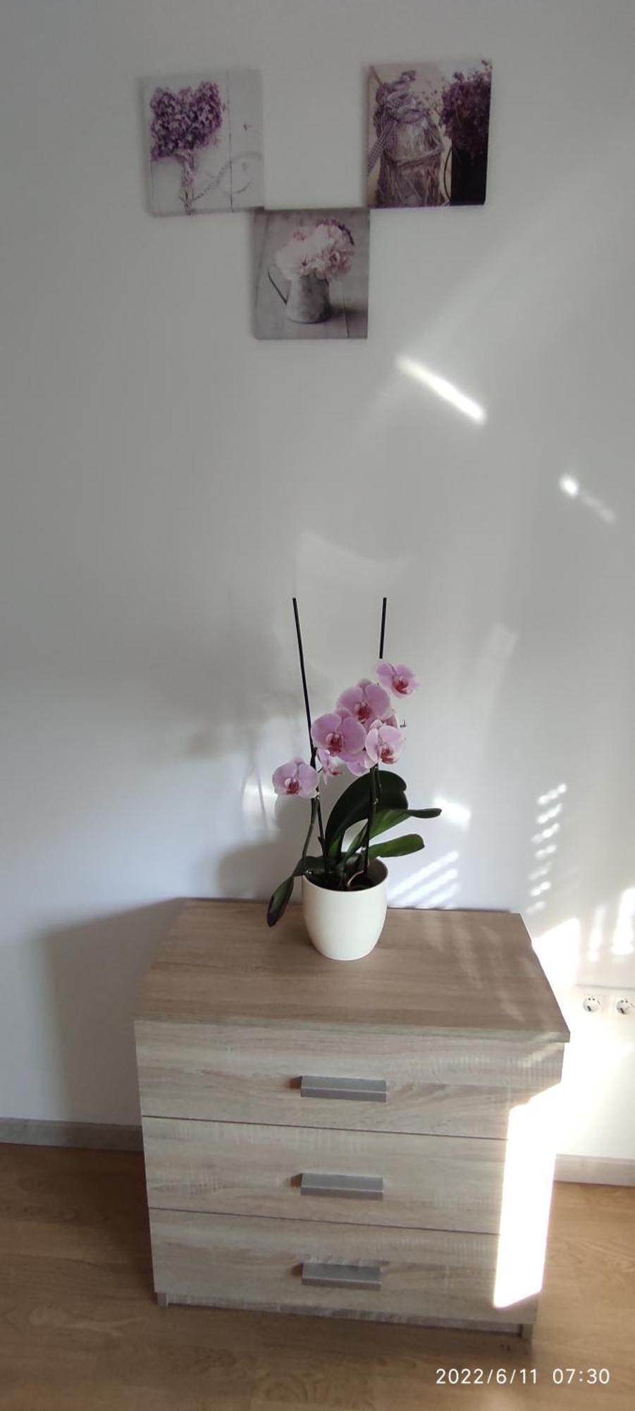 Apartment Zelena Oaza Sisan 75 M2 - 2 Bedrooms Esterno foto